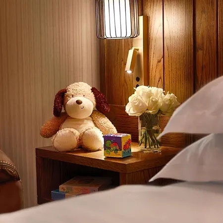 Hyatt Centric The Liberties Dublin